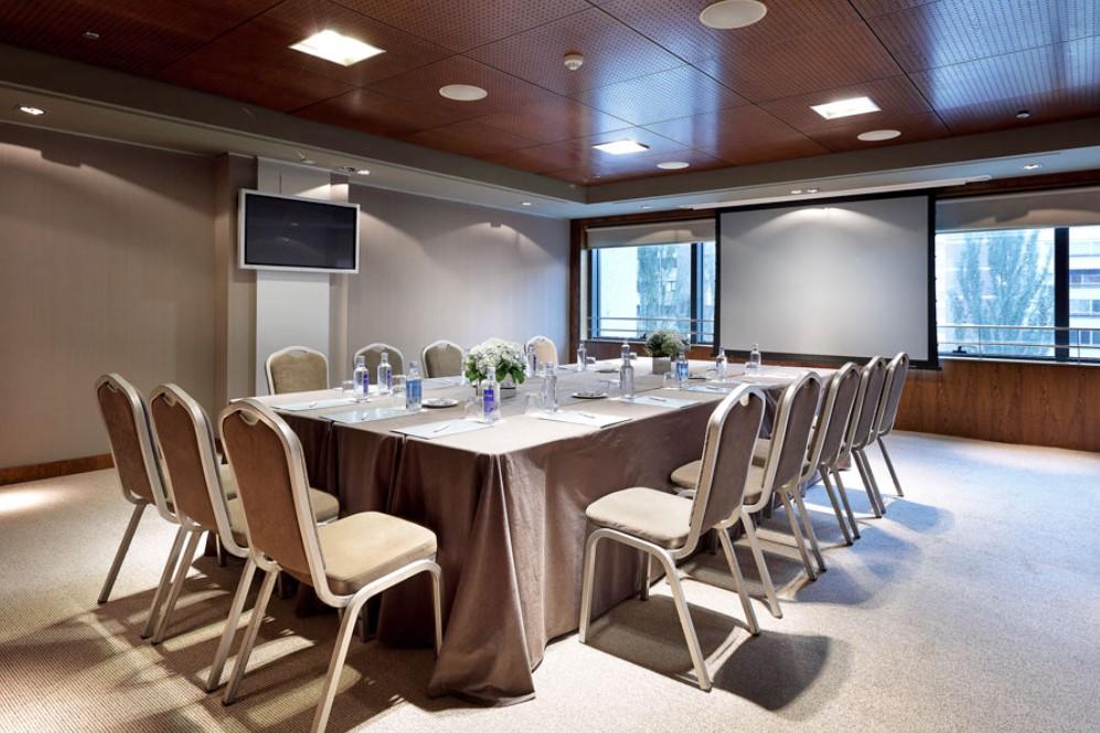 유로스타 스위트 미라시에라 마드리드 외부 사진 Meeting room